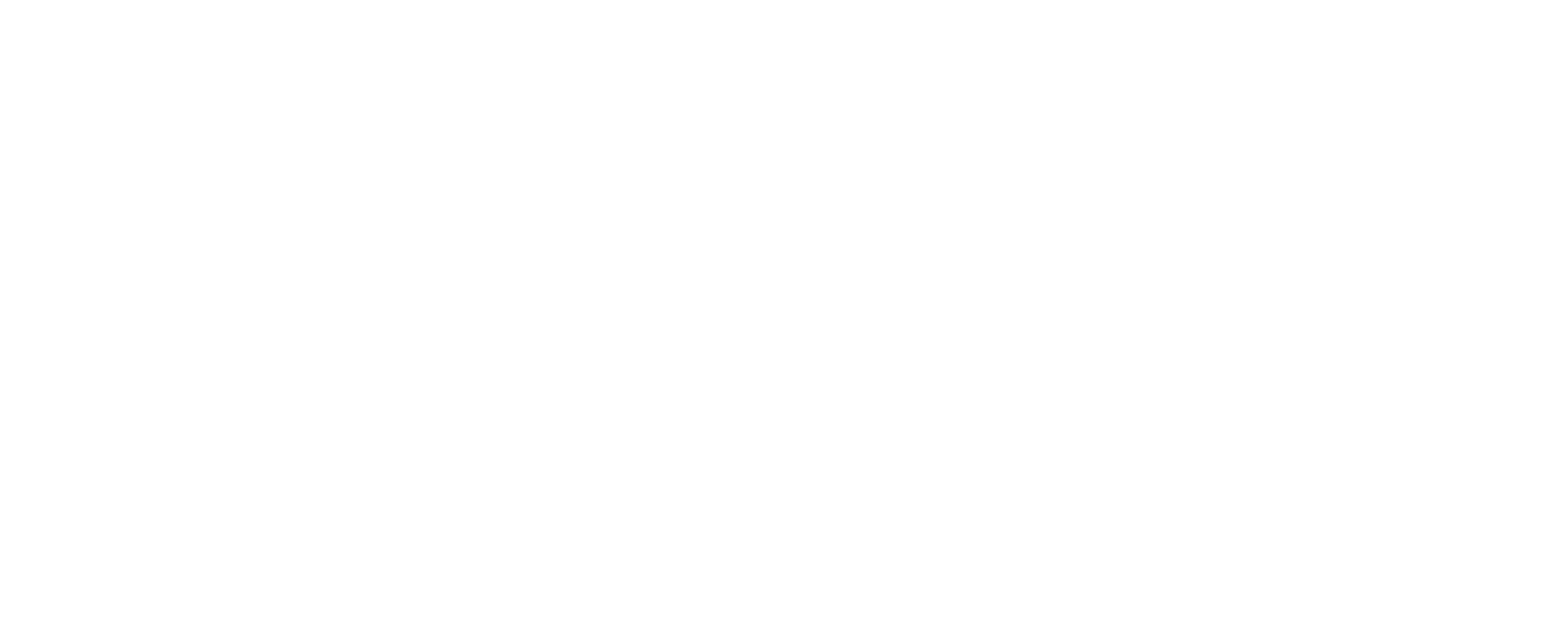 BW Company
